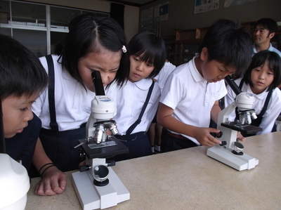 顕微鏡で微生物を観察する子供たち