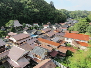 高台から見下ろした大森の赤瓦の町並み