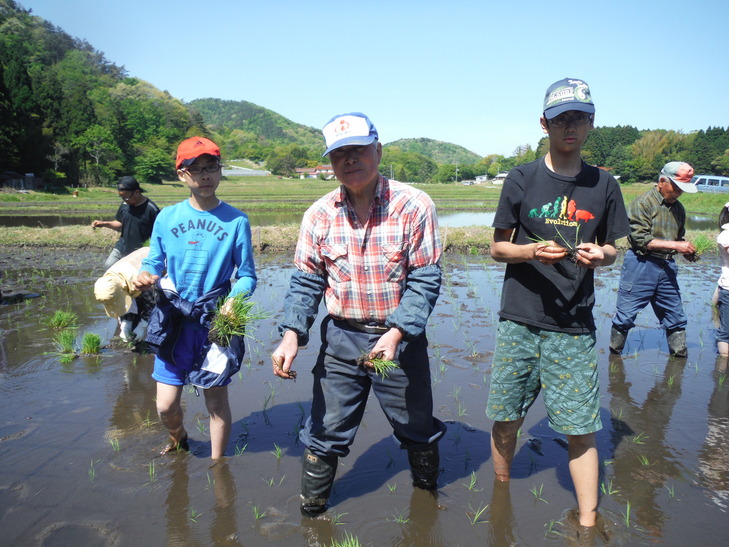 田植え