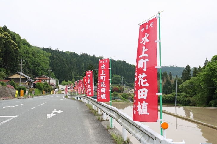 花田植のぼり