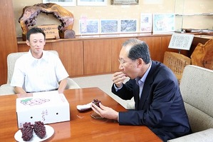 市長がぶどうを試食