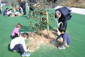 モッコクを植樹する楫野市長と波根保育園児