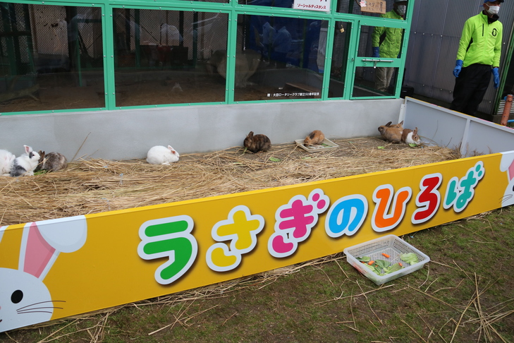 新しいウサギの園舎