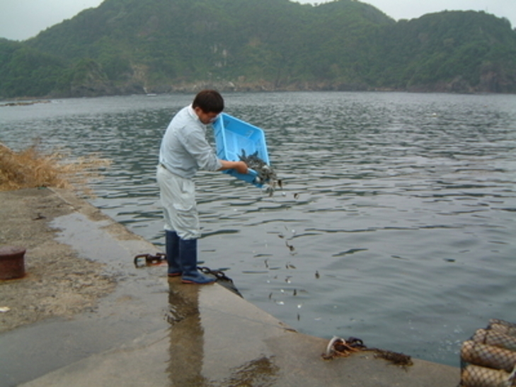 放流の様子