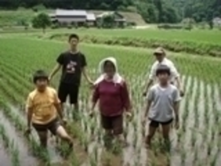 田植えをしている生徒ら