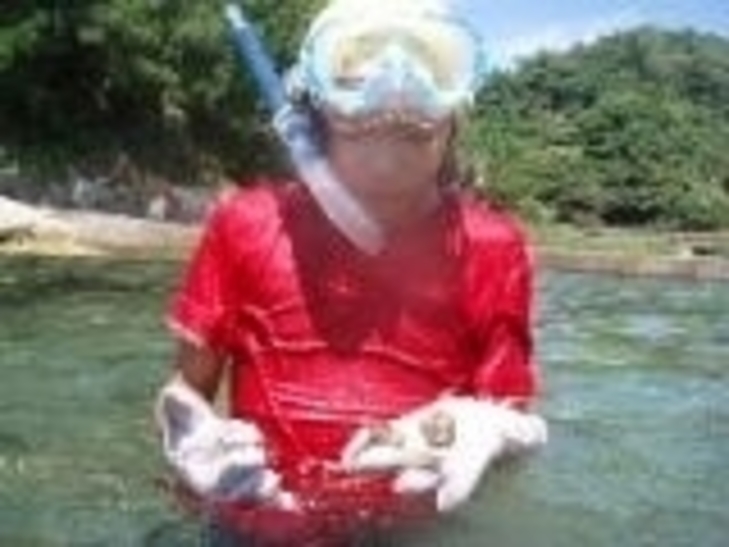 海に潜って貝を捕まえた生徒