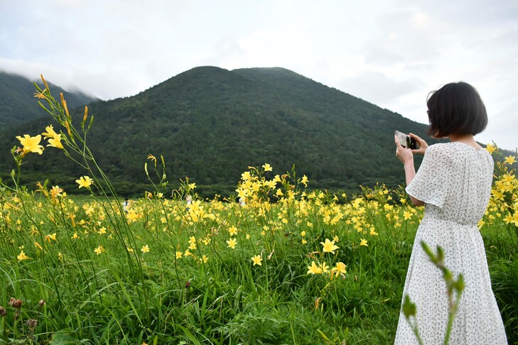 ユウスゲの写真を撮る女性