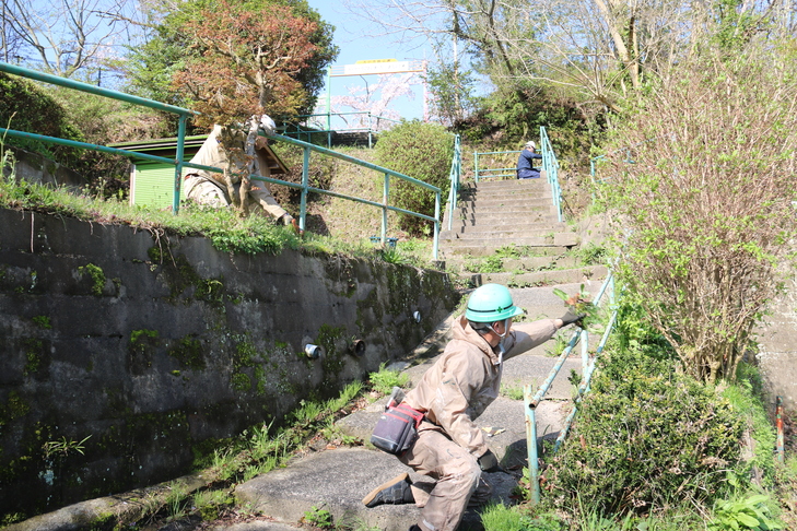 作業をする皆さん