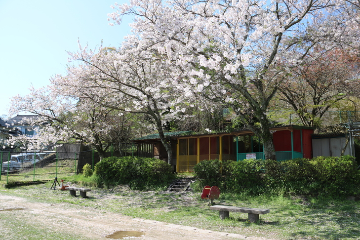 代官山動物園の風景