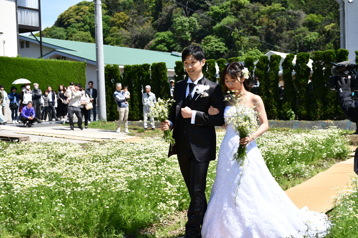 カモミール畑の新郎新婦