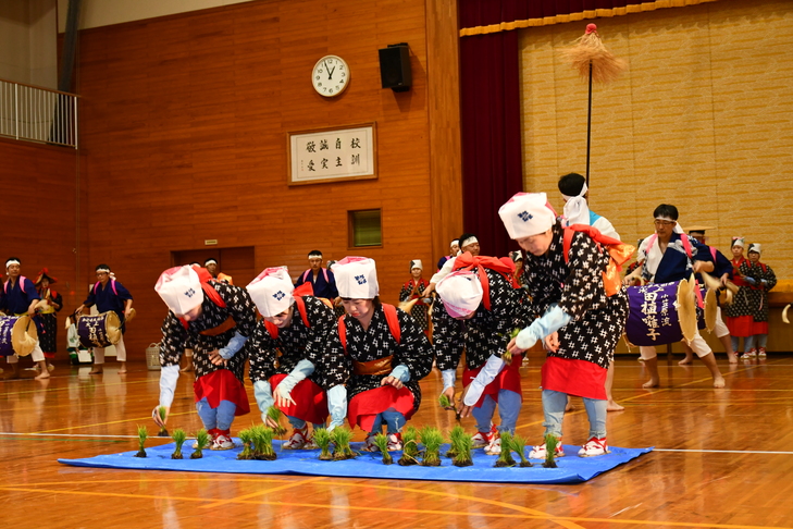 苗取りをする早乙女