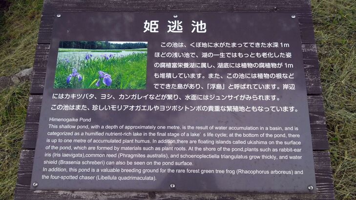カキツバタ群落の看板
