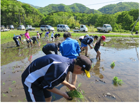 北三瓶中１