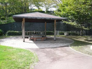 健康公園(9)