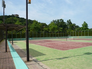 健康公園(11)