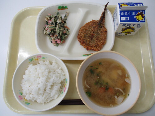 4月8日写真