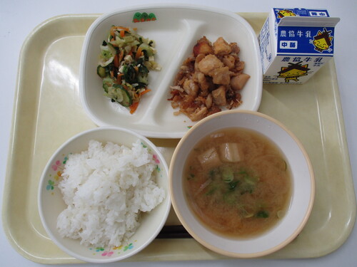 4月16日写真
