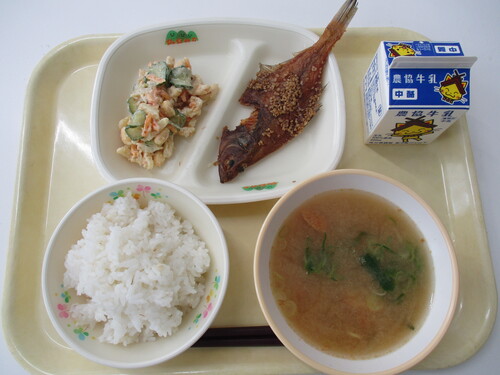 4月30日写真