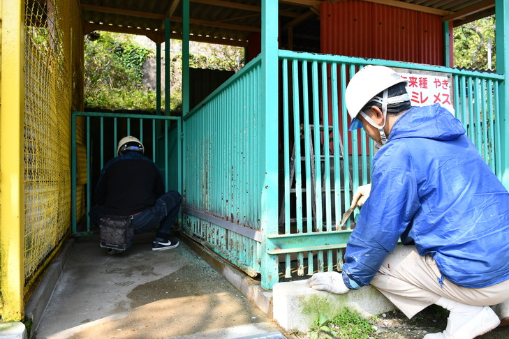 代官山動物園の風景
