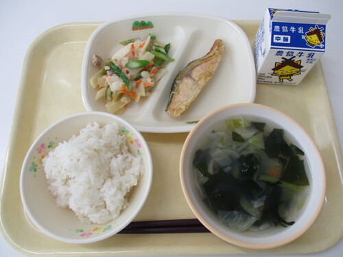 5月19日写真