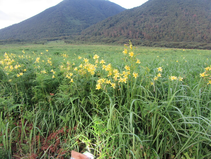 観察会５