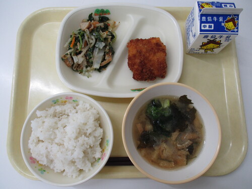 9月16日写真