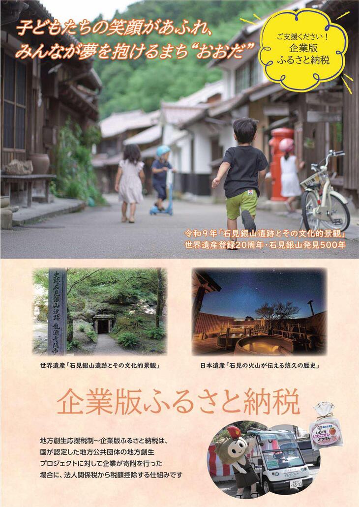 企業版ふるさと納税パンフレット1