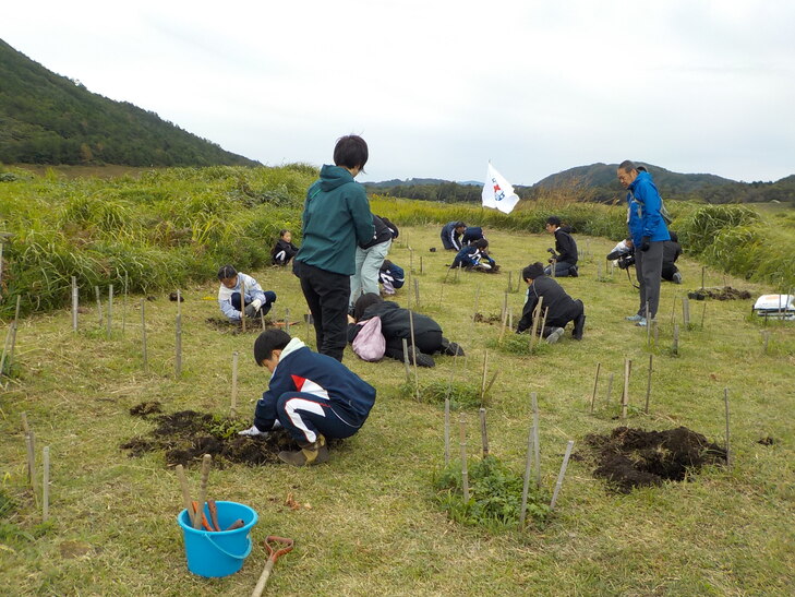 北三瓶（オキナグサ）
