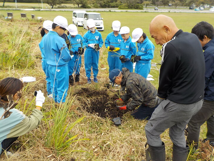 志学（ユウスゲ）