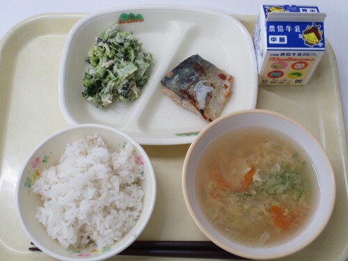 １１月１３日写真