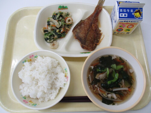 １１月２７日写真