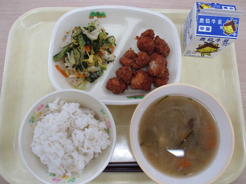 ６月４日写真