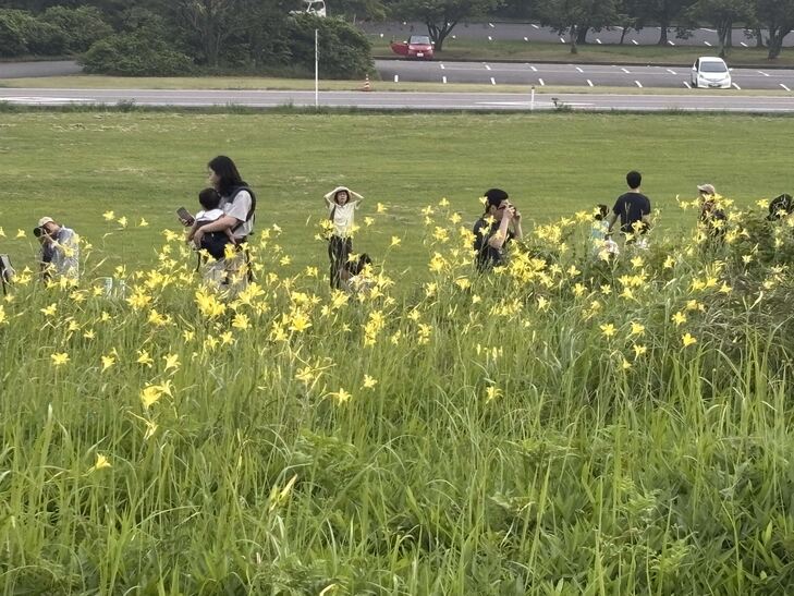 観察会2