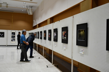 写真展
