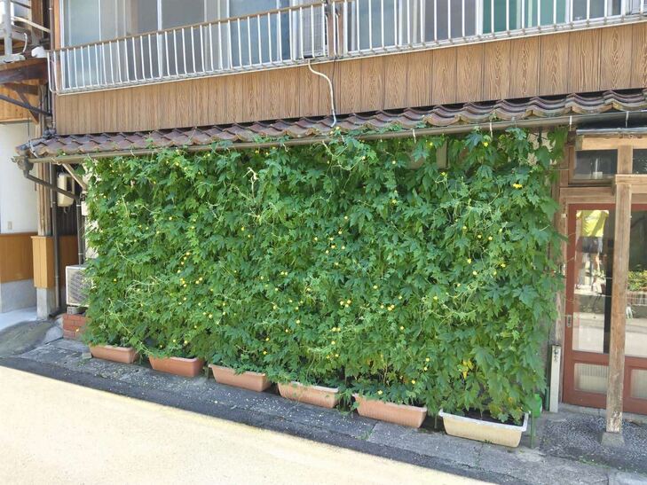 野村恒男