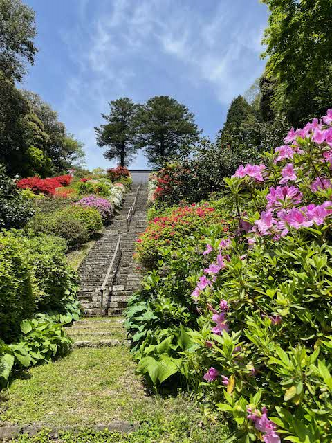 全景